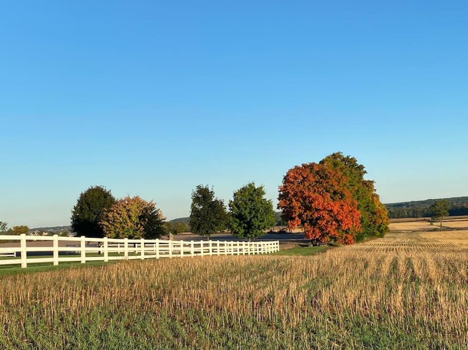 Farmhouse Guest Suite, Pool, Hot Tub, Horses Midhurst ภายนอก รูปภาพ